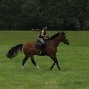 Meet your Posher, Marilyn